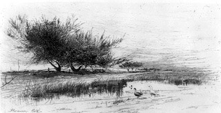 Florence Esté, landscape with ducks, c. 1885, etching. Library of Congress.