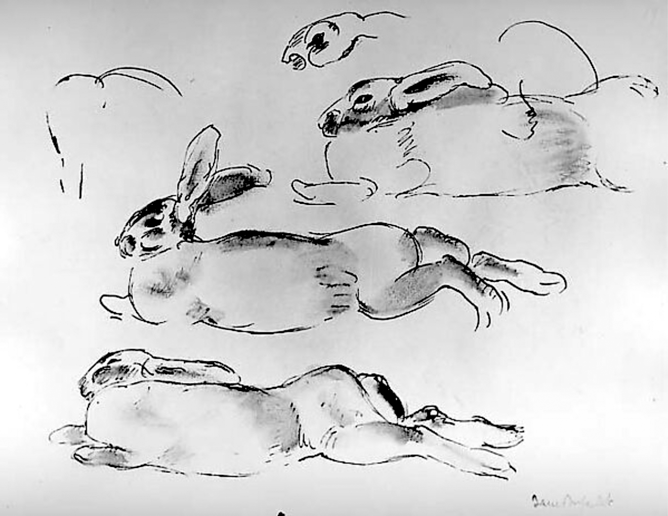 Jane Poupelet, studies of rabbits, Ink, wash and graphite on paper, ca. 1925. Metropolitan Museum of Art