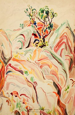 Cedar from Rock Subject (Colorado), Elisabeth Spalding, 1929, watercolor on paperboard, Kirkland Museum of Fine & Decorative Art