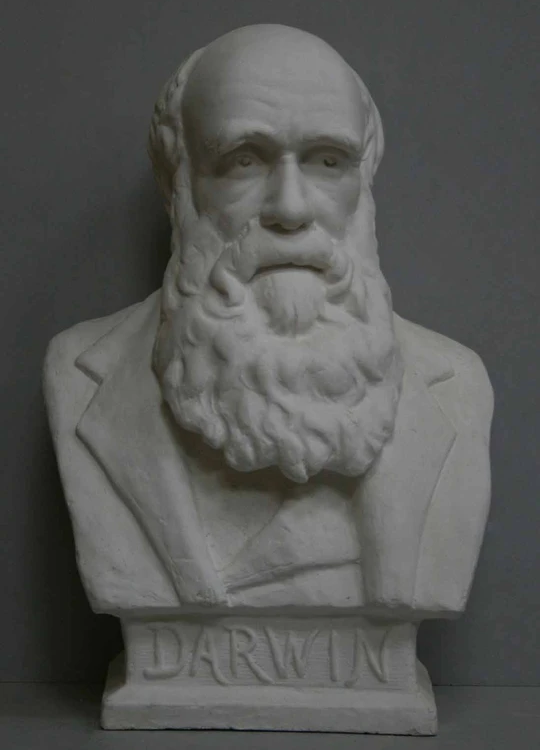 Jane Nye Hammond, “Portrait bust of Charles Darwin,” 1894, marble. Providence Athenaeum, photo from Caproni Collection