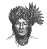 Elizabeth Taylor, sketch of an indigenous Canadian, The American Magazine, volume 22, 1886, 681
