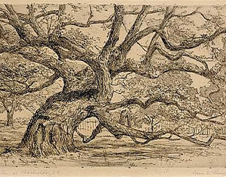 Alice E. Rumph, untitled,  n.d., etching. Invaluable.com