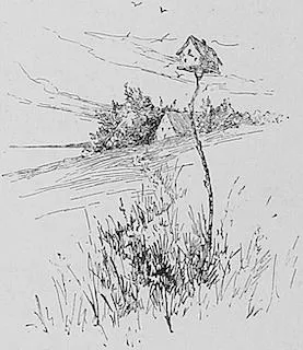 Blanche Dillaye "Bird House Town"