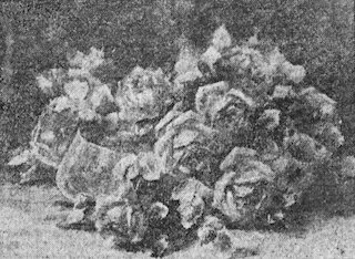 Lucille Douglass, painting of roses, reproduced in the Birmingham Post Herald, 29 July 1906