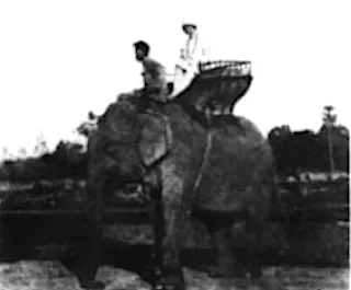 Photograph of Lucille Douglass riding on the back of an elephant, c. 1927. Hark, p. 24.