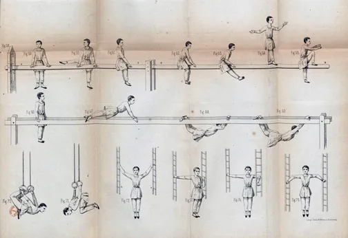 Orthopedic gymnastics