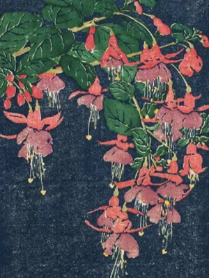 Edna Boies Hopkins, “Fuchsias,” 1910-1913, color woodcut. Cincinnati Art Museum