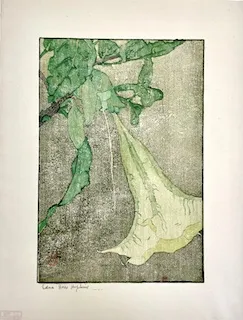 Hopkins, Edna Boies. Datura. 1900-1915, Bibliothèque de l’INHA, Paris. Color woodcut.