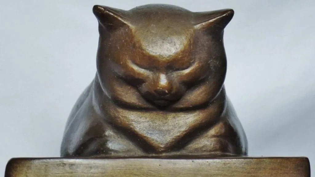 cat