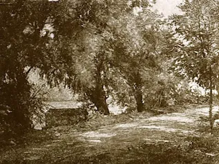 Claire Shuttleworth, "Road and Willows," ca. 1910. Academy notes / Buffalo Fine Arts Academy v. 7-9 (Jan. 1912-Oct. 1914). Hathitrust