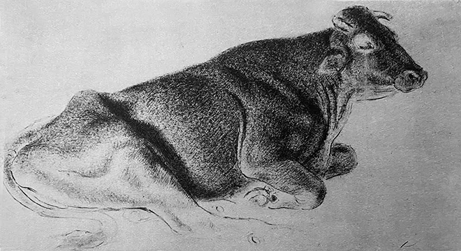 Jane Poupelet, "Vache," n.d., walnut stain and sanguine drawing. Kunstler, 1930, no. 17