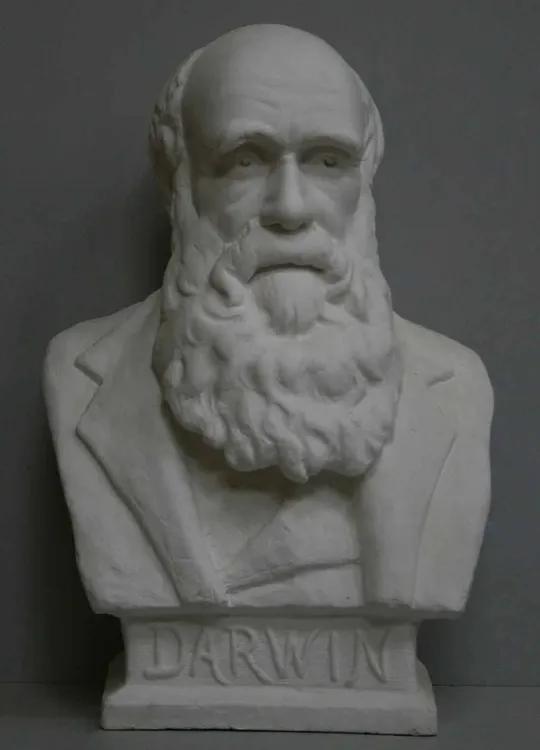 Jane Nye Hammond, “Portrait bust of Charles Darwin,” 1894, marble. Providence Athenaeum, photo from Caproni Collection