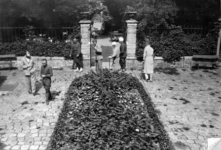 First Attempts at exercise by convalescent American Officers (1919), American National Red Cross Photograph Collection 